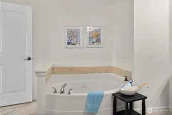 Check out that soaking tub!