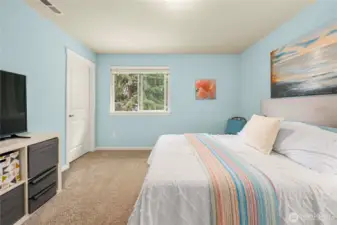 This second bedroom is spacious, with a large walk-in closet!