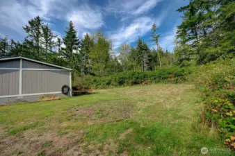 View of backyard space from behind shop