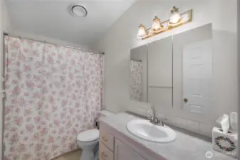 Guest Bathroom