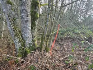 Walk in past this ribbon to get into the middle  of the land.