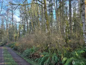 This is the neighbors driveway and we don't know exact location of the property line.