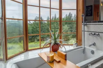 Main house floor 2 3/4 bathroom with tub and shower attachment