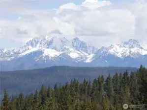 Mount Stewart view from the top of the property