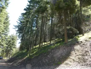 Possible spot for a driveway off of Skull Road on lower part of property