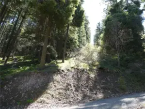 Easement along property line.