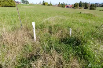 Electricity to the property