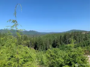 view from neighboring property