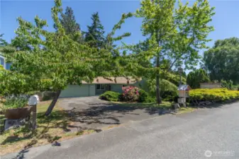 Mature landscaping