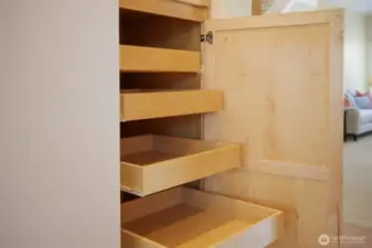 Well designed maple cabinet storage.