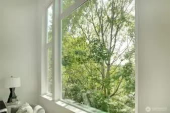 Treehouse outlook from living room with western exposure