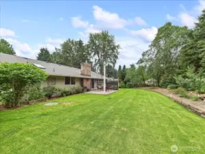 Large backyard.