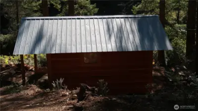 Shed thought the trees metal roof.