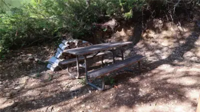 Picnic gathering for fun memories will last a lifetime.