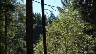 Power poll on the property.