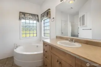 Bath in primary suite comes with a garden tub, separate shower and private toilet room