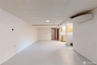 Basement Family room