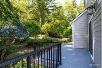 Deck walkway on west side of house.