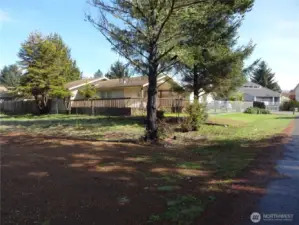 Lot looking right