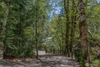 The freshly graveled driveway adds the perfect finishing touch to this beautifully maintained property