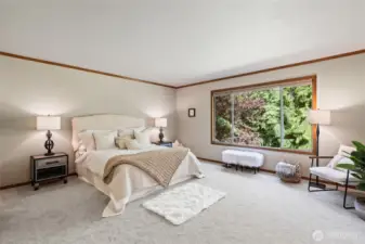 Enter the large primary bedroom.  What a view to greenbelt!