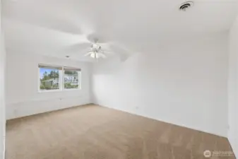 Lower level bedroom with large walk in closet