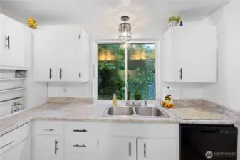 new dishwasher