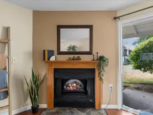 Electric fireplace with fan  for those chilly evenings