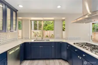 Deep stainless steel sink, lots of natural light and tons of cabinet space
