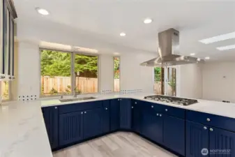 Alt view kitchen
