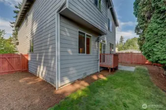 Backyard