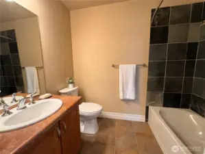 Hall bathroom