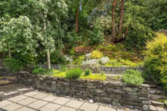 Mature garden beds
