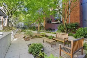 Courtyard between buildings