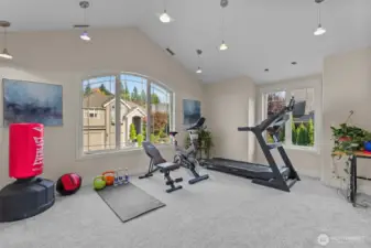 Bonus or fitness room with vaulted ceilings—ideal for a home gym, studio, or flex living space.