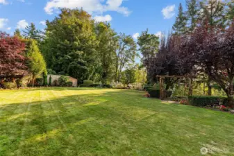 Flat, usable lawn surrounded by trees—ideal for play, entertaining, or relaxation.