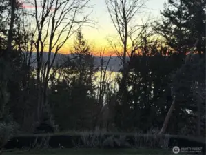 Stunning sunset view through the trees, capturing the tranquil Pacific Northwest lifestyle.