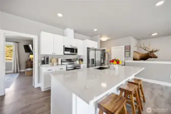 Views of open kitchen with large island