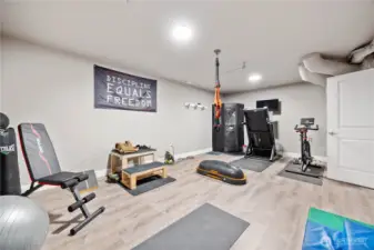 View of daylgiht basement finished gym