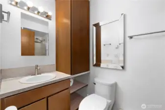 Guest bathroom