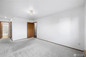 Primary bedroom with walk-in closet