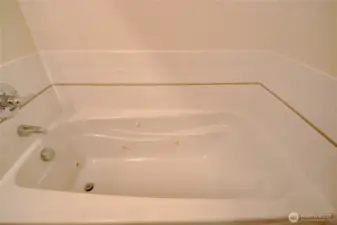 Primary bathroom jacuzzi