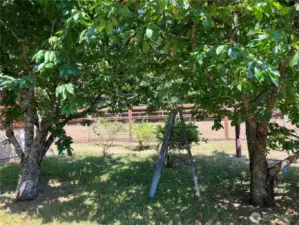 Fruit Orchard
