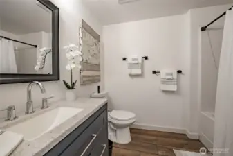 Lower level bath
