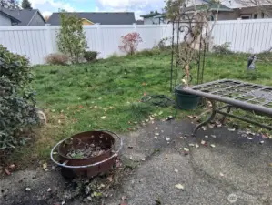 Fully fenced backyard!