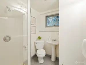 Lower level 3/4 bath