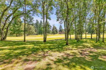 From the backyard onto the course.