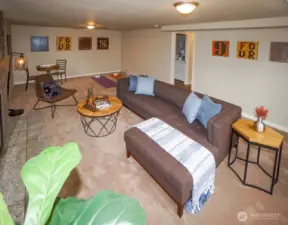 Lower Level Rec Room