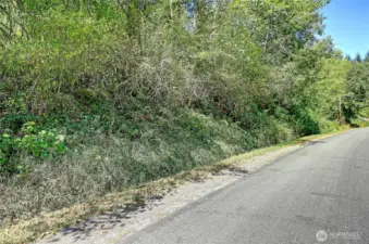 Street view of the lower parcel B included in the sale (Reference Geo ID: R23225-119-4200), 2.5 acres. Easy access for power and water, below the house parcel above.  Excellent opportunity to live above while you build below!  Then rent out the house above for income generation, or multi-generational living together with contiguous access within parcel boundary lines.