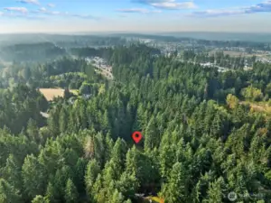 Welcome home! Private yet a short drive to city conveniences and State Route 9!